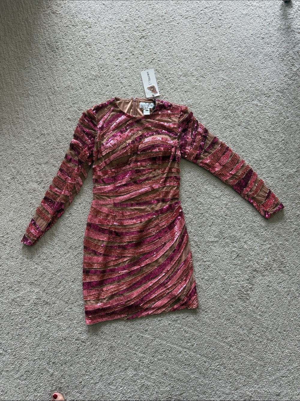 Long-Sleeve Sequin Stripe Mini Dress in Pink and Brown